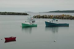 фото "Calm Harbor"