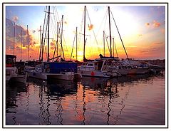 photo "Waiting Of a Wind."