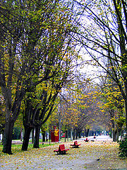photo "Untitled photo"