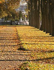 фото "Осеннее настроение"