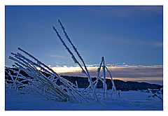 photo "Blue Frost"