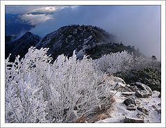 photo "mountain way"