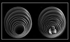 photo "Cosmos"