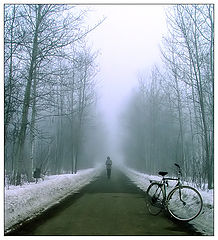photo "***"
