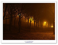 photo "silence"