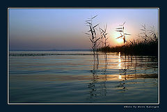 photo "New day (for Nadyusha Kvitka)"