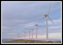 фото "millers"