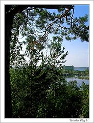 photo "windows"