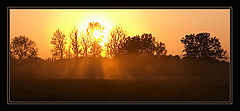 photo "***"