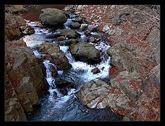 photo "a little sunlight in a cold water"