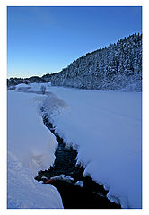photo "Winter frost"