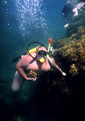 photo "The equaliser of weightlessness a minus of 110 kgs"