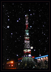 photo "The first snow"