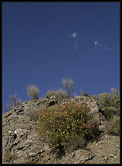 photo "mountain ghosts"