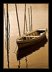 photo "Solitary..."