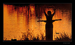 photo "Golden Angels"