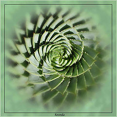 photo "Rotonda"