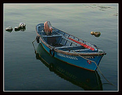 фото "Lonely"