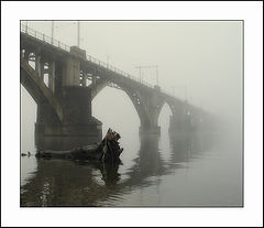 photo "morning foggy #8"