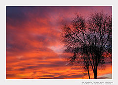 photo "Сrimson Sundown"