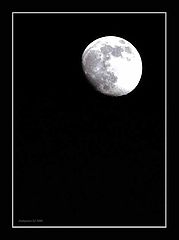 photo "Moon"
