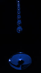 photo "Drops"