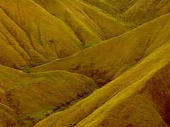 photo "Highland"