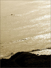 photo "...liquid gold..."