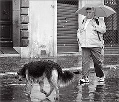 photo "It`s raining like a hell..."