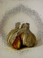 фото "Garlic"