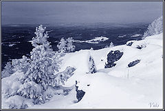 фото "Снежные дали"