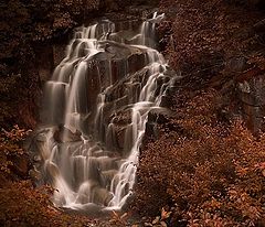 photo "Lost Fall"