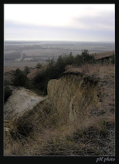 photo "the gullen"