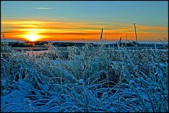 фото "Daybreak"