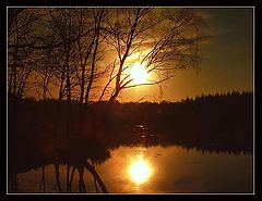 photo "Cry Of The Wolf"