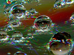 photo "Prism"