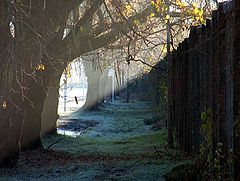 фото "Contrast"
