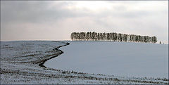 photo "Border"