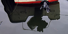 photo "Motor"