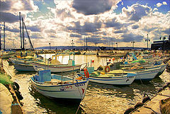 photo "Untitled photo"