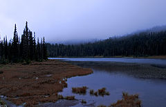 photo "Late Autumn Morning"