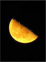photo "Slice of cheese..."