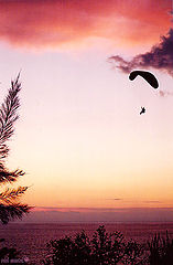 фото "I wanna be Icarus"