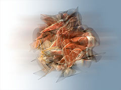 фото "ovni 2"