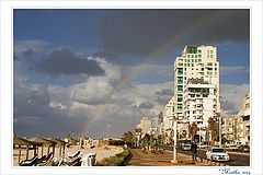 photo "After the rain"