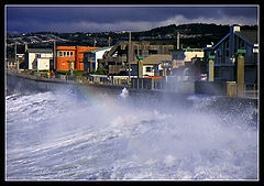 фото "Windy"