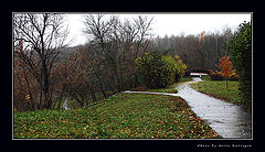 photo "Wilderness park"