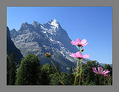photo "About a small mountain"