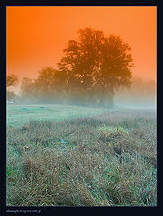 photo "fog 1"