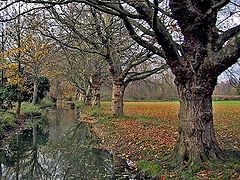 фото "Cycle of nature"